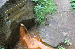 Prameny a lázeňství